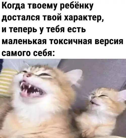 Смешная картинка №665685
