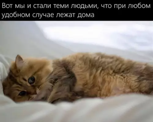 Смешная картинка №749710