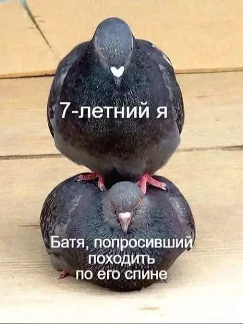 Смешная картинка №726475