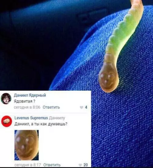 Смешная картинка №768062