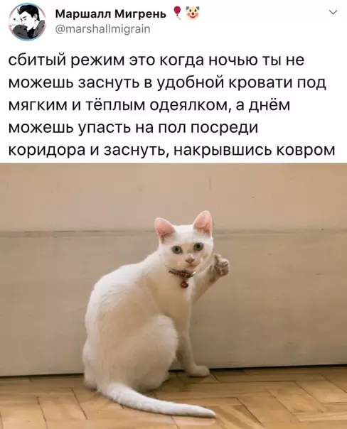 Смешная картинка №394092