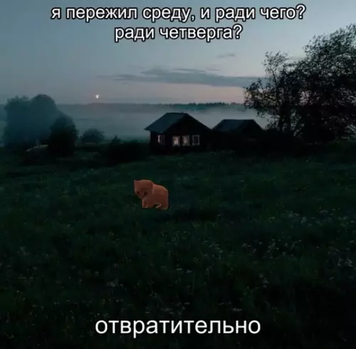 Смешная картинка №735053