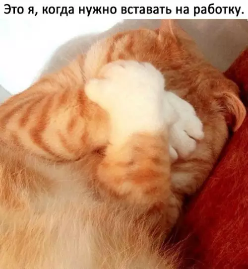 Смешная картинка №228190