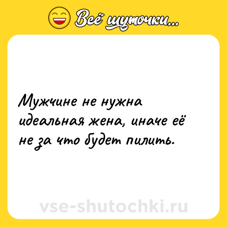 Шутка: Мужчине не нужна идеальная жена, иначе её не за что будет пилить.
