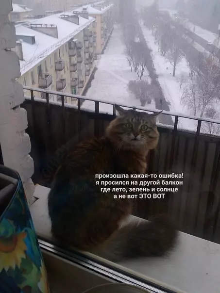 Смешная картинка №614905 Клиент недоволен, позовите менеджера