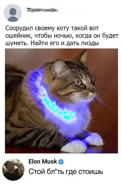 Смешная картинка №312925