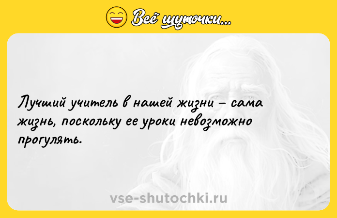 Цитата: Лучший учитель в нашей жизни сама жизнь, поскольку ее уроки невозможно прогулять.