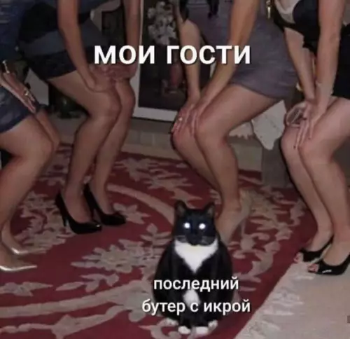 Смешная картинка №715051