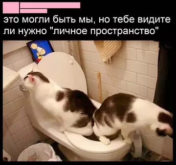 Смешная картинка №745940 💔