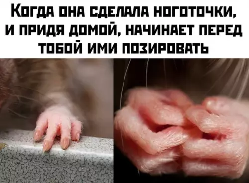 Смешная картинка №445580