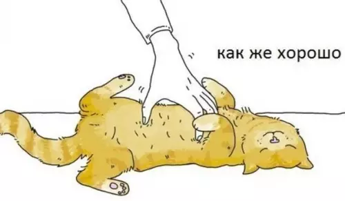 Смешная картинка №447248 Должен