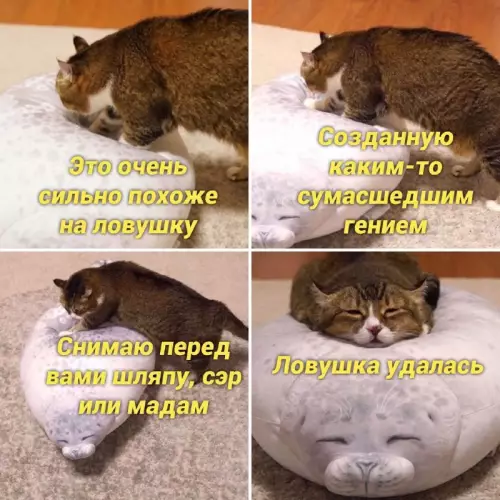 Смешная картинка №663675