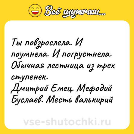 Шутка: Ты повзрослела. И поумнела. И погрустнела. Обычная лестница из трех ступенек. <br>Дмитрий Емец. Мефодий Буслаев. Месть валькирий