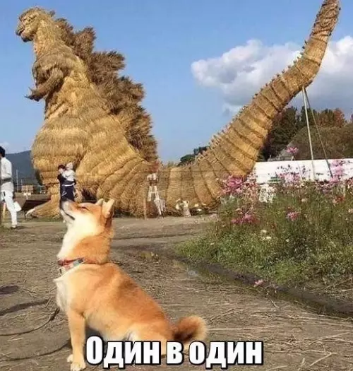 Смешная картинка №179965