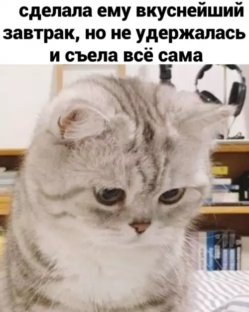 продолжение Смешная картинка №686413