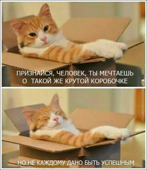 Смешная картинка №179523