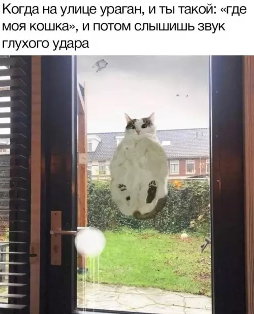 Смешная картинка №658881