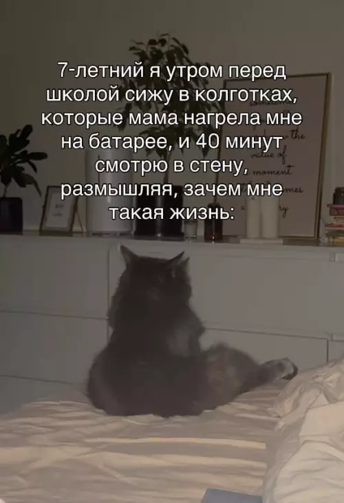 Смешная картинка №785093