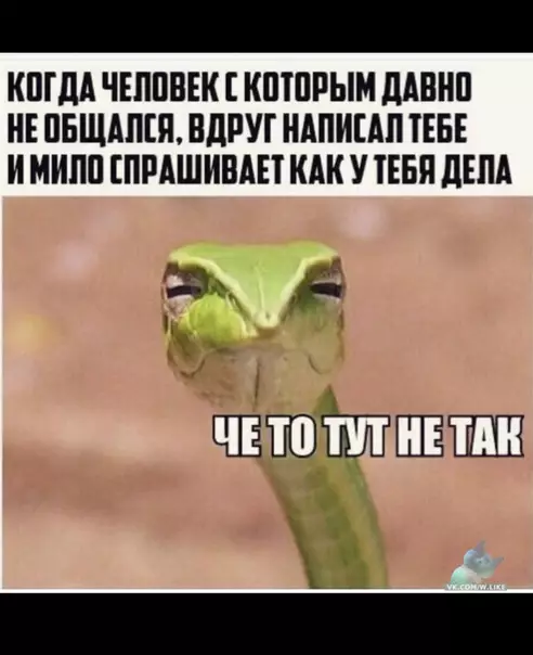 Смешная картинка №337293