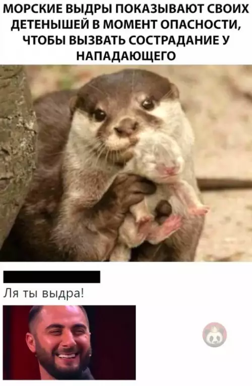 Смешная картинка №614587 Лучший коммент к этому факту, который только можно было придумать! ?