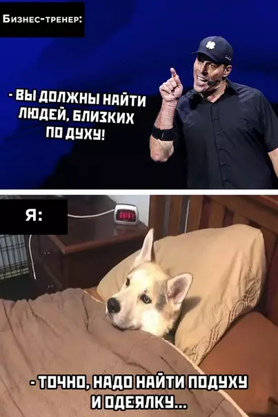 Смешная картинка №522714
