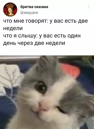 Смешная картинка №650803