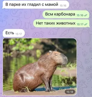 продолжение Смешная картинка №656309