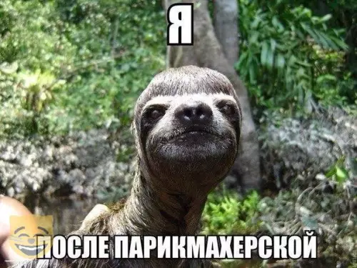 Смешная картинка №327589
