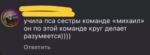 Смешной момент с собакой