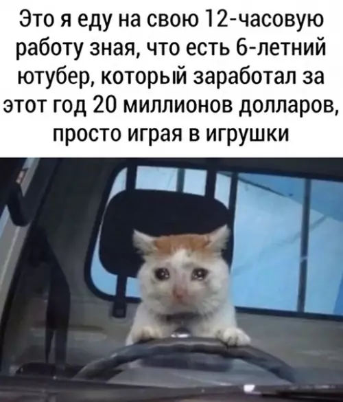 Смешная картинка №498426 Жизнь сурова
