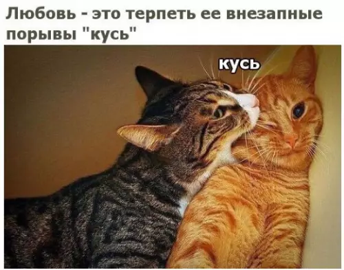 Смешная картинка №214897 ☺
