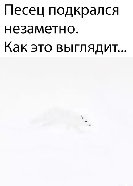 Смешная картинка №488233