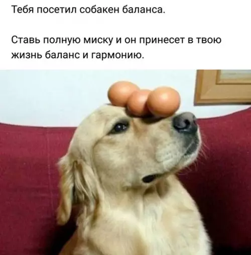 Смешная картинка №244431