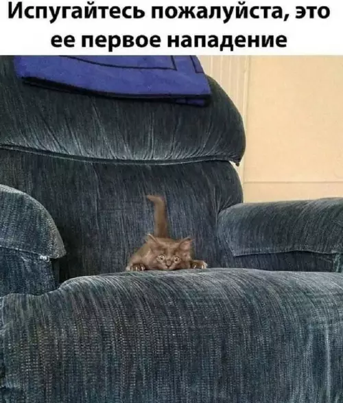 Смешная картинка №697269