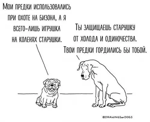 Смешная картинка №774480