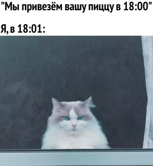 Смешная картинка №358295 Я буду жаловаться