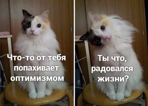 Смешная картинка №540547 Тaкиe дeлa.