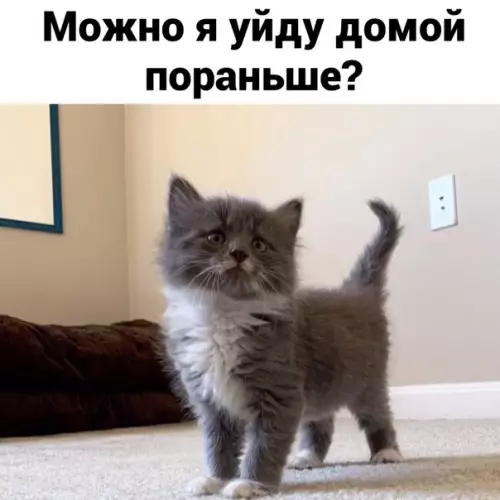 Смешная картинка №521554