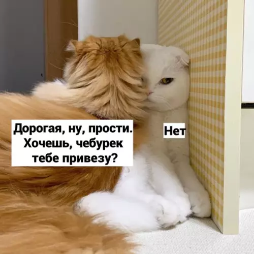 Смешная картинка №532023