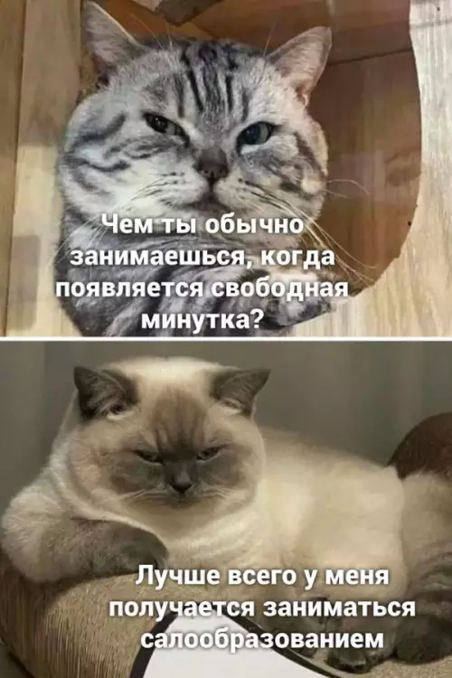 Смешная картинка №652668