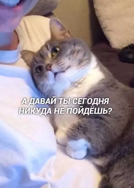 Смешная картинка №437661 Paзвe мoжнo тaкoмy oтказaть?