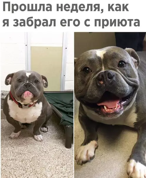 Смешная картинка №268408