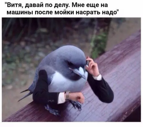 Смешная картинка №262186