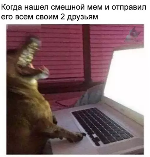 Смешная картинка №304250