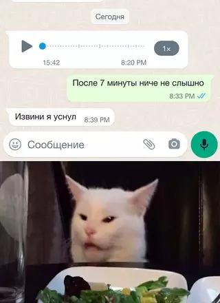 Смешная картинка №677726 Переписка