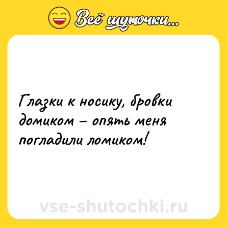 Шутка: Глазки к носику, бровки домиком – опять меня погладили ломиком!