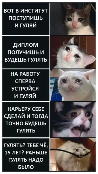 Смешная картинка №459371