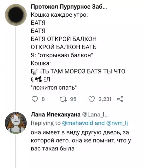 продолжение Смешная картинка №610291 Кошки