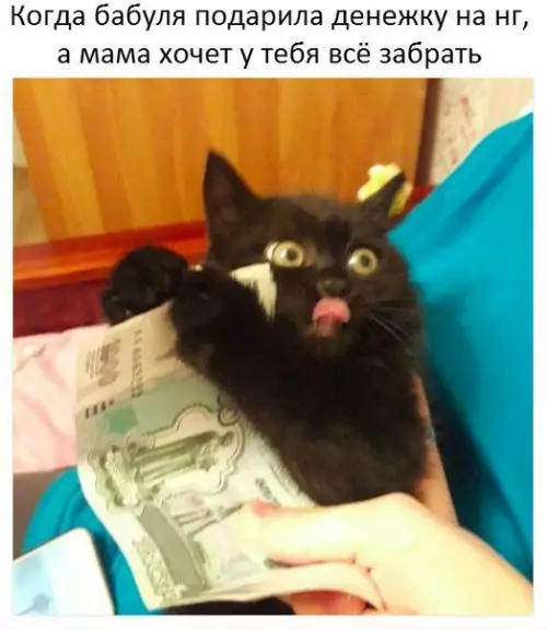 Смешная картинка №237439