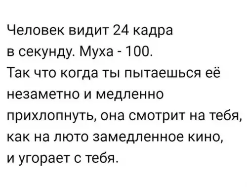 Смешная картинка №263172